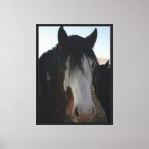 Hair in the Eyes Stretched Canvas Print