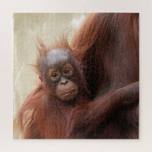 Hair-raisingly Cute - The Adorable Baby Orangutan Jigsaw Puzzle