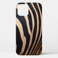 hair skin of zebraskin,animal,background,black,bod