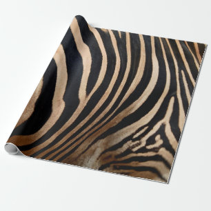 hair skin of zebraskin,animal,background,black,bod wrapping paper
