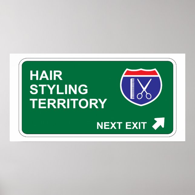 Hair Styling Next Exit Poster (Front)