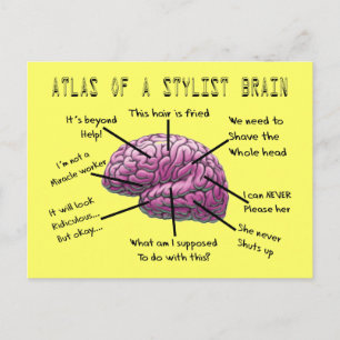 Hair Stylist Gifts "Atlas of a Stylist Brain" Postcard