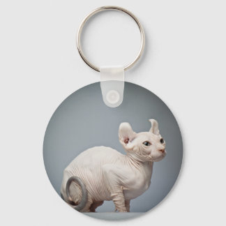 HAIRLESS CAT KEY RING
