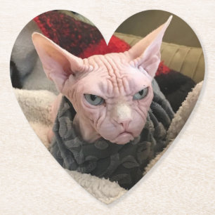 Hairless Cat - White Elephant Gift Paper Coaster