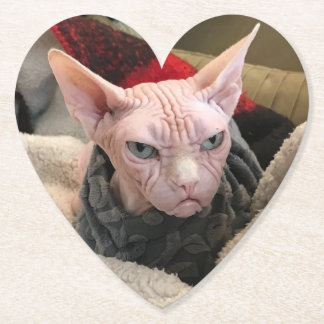 Hairless Cat - White Elephant Gift Paper Coaster