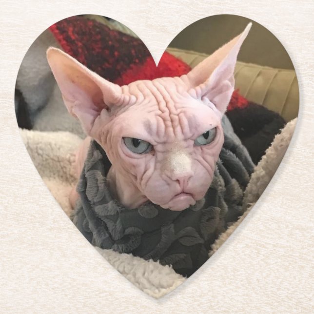 Hairless Cat - White Elephant Gift Paper Coaster (Front)