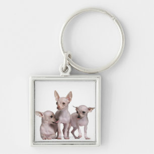 Hairless Chihuahua (5 and 7 months old) Key Ring