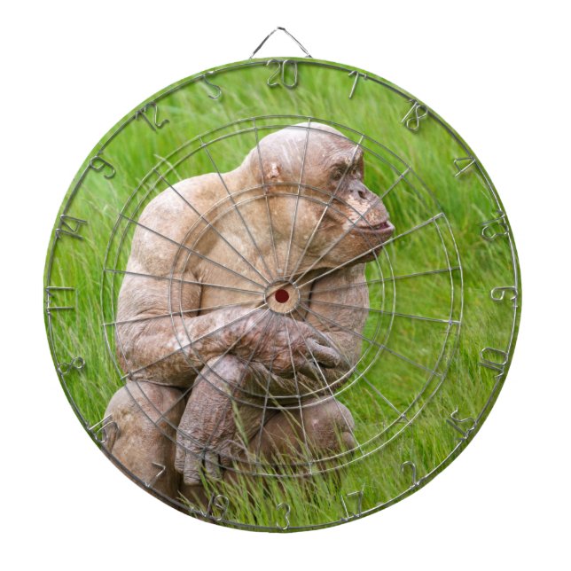 Hairless Chimpanzee Dartboard (Front)