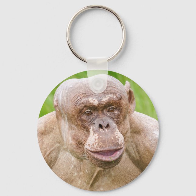 Hairless Chimpanzee Magnet Key Ring (Front)