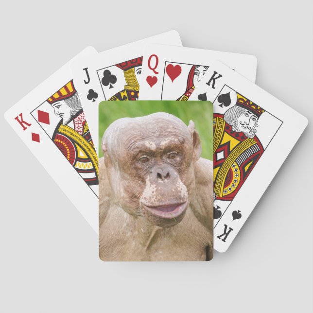 Hairless Chimpanzee Playing Cards (Back)