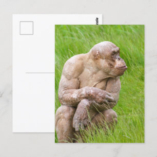 Hairless Chimpanzee Postcard