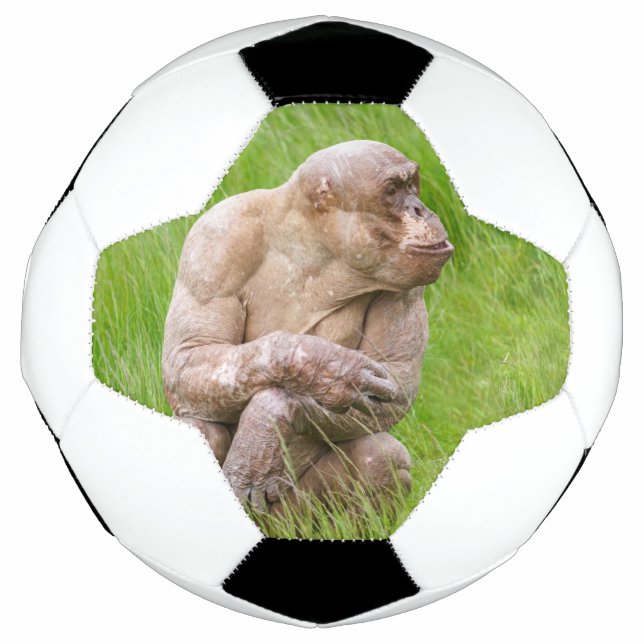 Hairless Chimpanzee Soccer Ball (Front)
