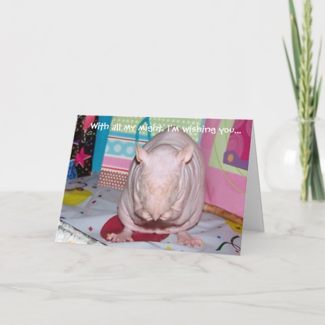 Hairless Pet Rat Birthday Card (Front)