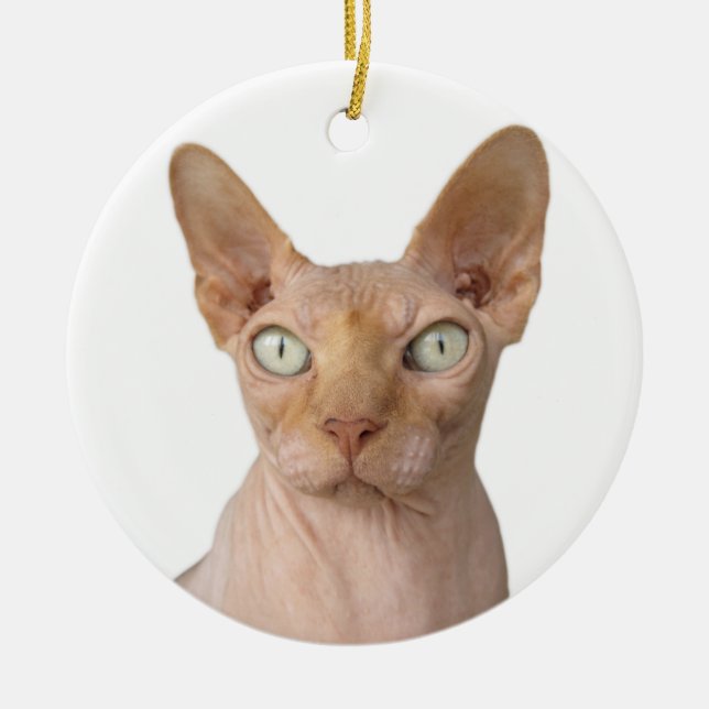 Hairless Sphynx Cat Ceramic Ornament (Front)