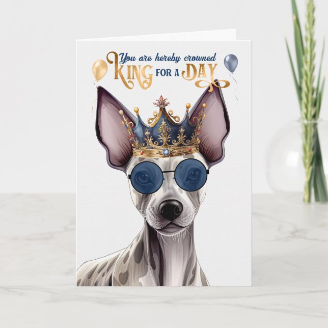 Hairless Terrier Dog King for a Day Funny Birthday Card (Front)