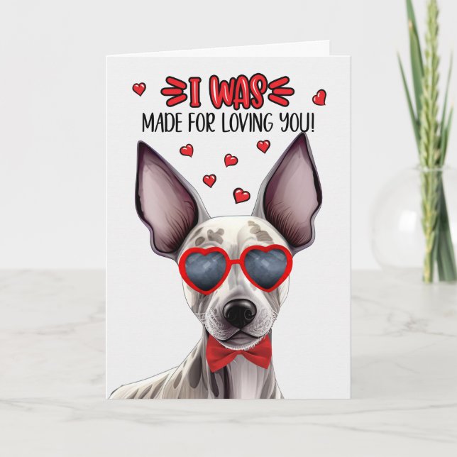 Hairless Terrier Dog Made for Love Valentine Holiday Card (Front)