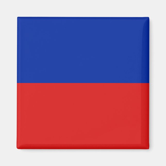 Haiti Flag Magnet (Front)