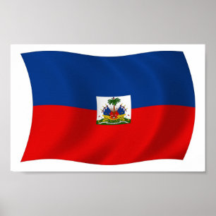 Haiti Flag Poster Print