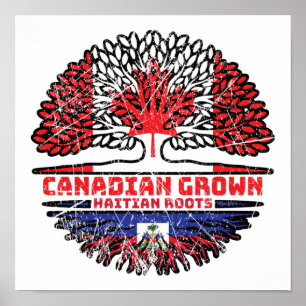 Haiti Haitian Canadian Canada Tree Roots Flag Poster