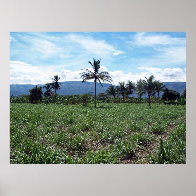 Haitian Countryside Poster (Front)