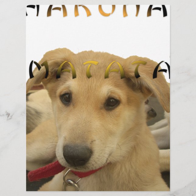 Hakuna Matata I know what you are thinking pinctur (Front)
