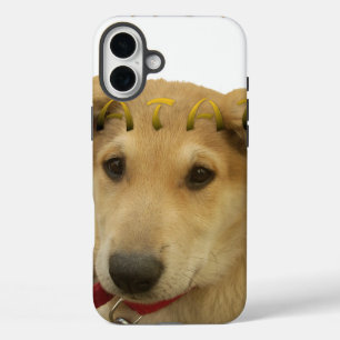 Hakuna Matata I know what you are thinking pinctur iPhone 16 Plus Case
