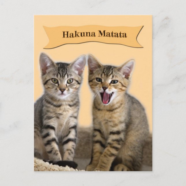 Hakuna Matata Kitten Postcard (Front)