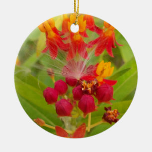 Hakuna Matata lovely green red yellow Flower Buds. Ceramic Ornament