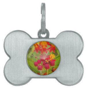 Hakuna Matata lovely green red yellow Flower Buds. Pet Name Tag