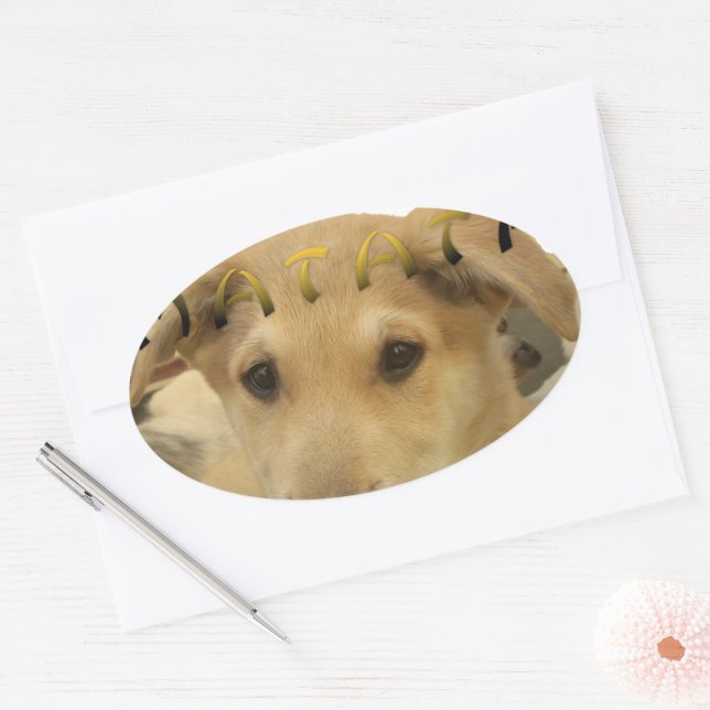 "Hakuna Matata Pup" – Worry-Free Puppy Love Oval Sticker (Envelope)