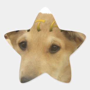 "Hakuna Matata Pup" – Worry-Free Puppy Love Star Sticker