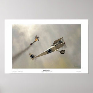 Halberstadt D.III Poster