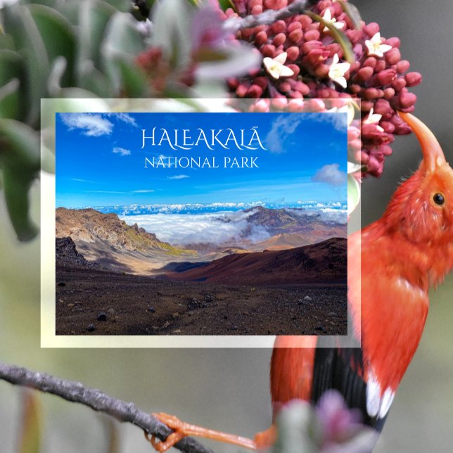 Haleakala Crater, Summit, Haleakala National Park Postcard (Creator Uploaded)