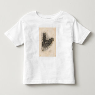 Haleakala, Hawaii Toddler T-Shirt