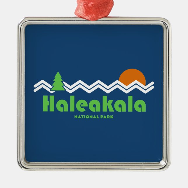 Haleakala National Park Retro Metal Ornament (Front)