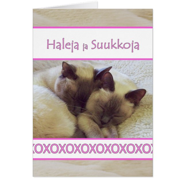 Haleja ja Suukkoja, Hugs and Kisses in Finnish (Front)