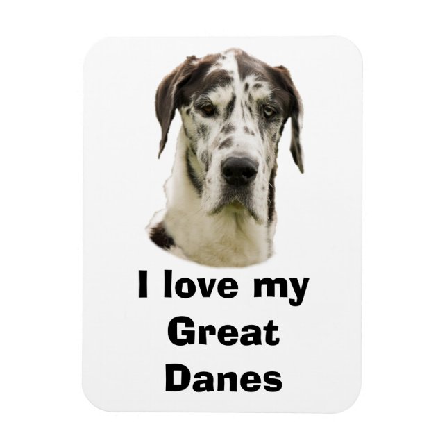 Halequin Great Dane pet photo Magnet (Vertical)