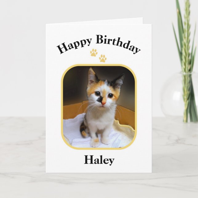 Haley Calico Kitten Happy Birthday Card (Front)