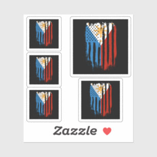 Half American Half Filipino Philippines Flag