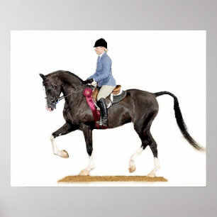 Half Arabian Hunter Pleasure Horse Poster Print