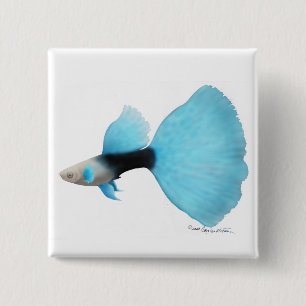 Half Black Blue Fancy Guppy Pin