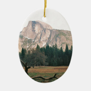Half Dome Ceramic Tree Decoration