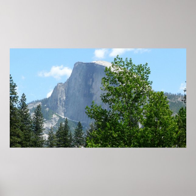 Half Dome in Summer from Yosemite National Park Poster (Front)