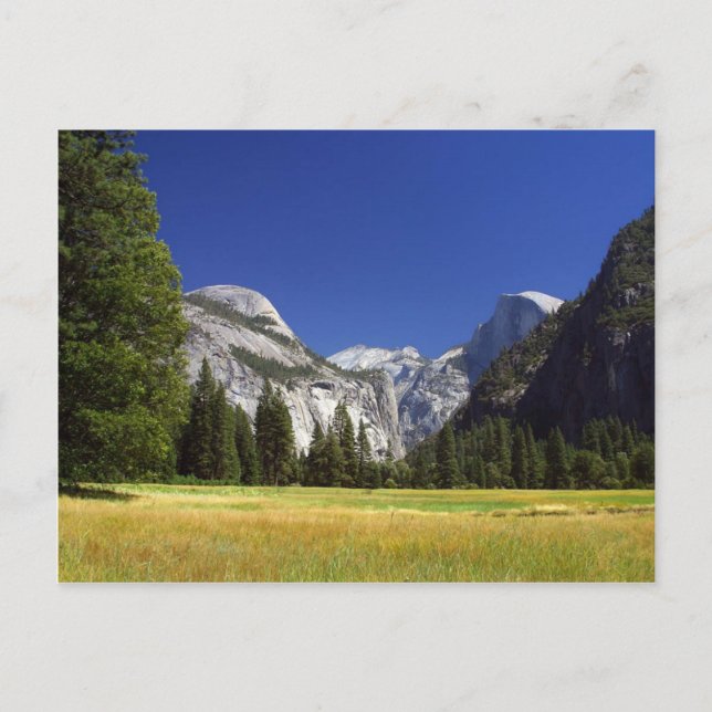Half Dome In Yosemite National Park Postcard (Front)