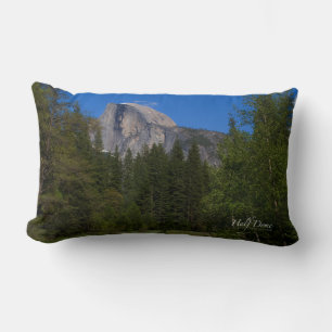 Half Dome Lumbar Cushion