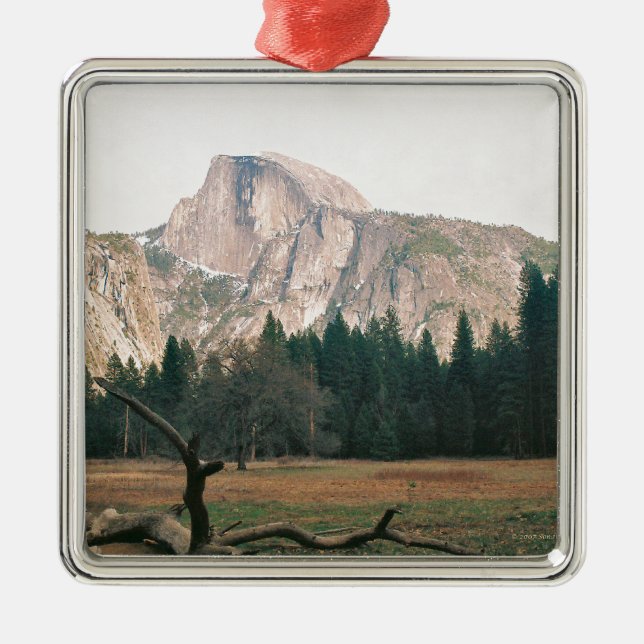 Half Dome Metal Tree Decoration (Front)