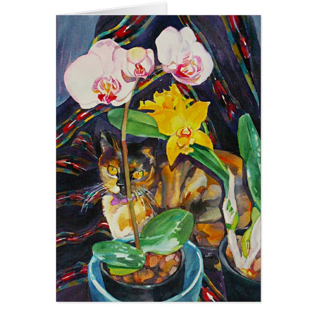 "Half & Half" (Front)