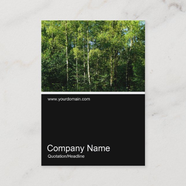 Half&Half Photo 0105 - Silver Birch Trees Business Card (Front)