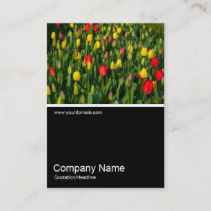 Half&Half Photo 0150 - Colourful Tulips Business Card