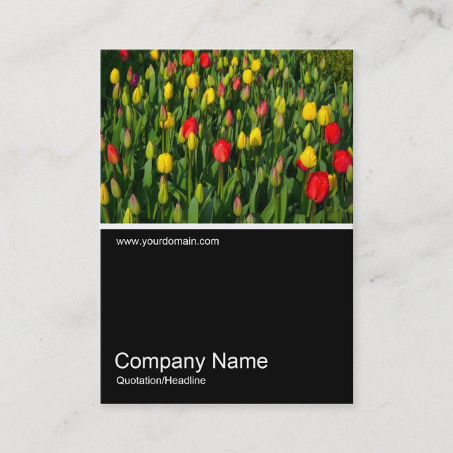 Half&Half Photo 0150 - Colourful Tulips Business Card (Front)